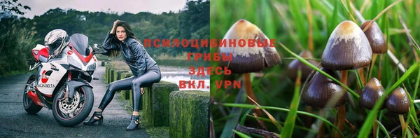 mdpv Алексин