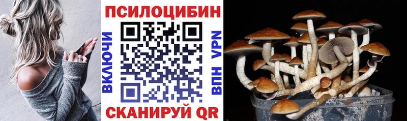 KRAKEN ONION  Сосновка  Псилоцибиновые грибы мухоморы 
