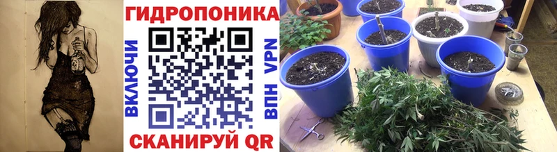 Шишки марихуана ГИДРОПОН где купить наркоту Сосновка